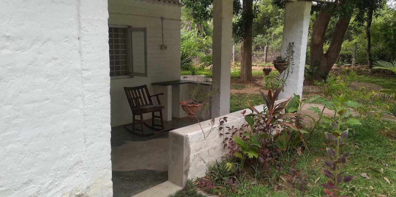 Isai Ambalam Guest House Puducherry Eksteriør billede